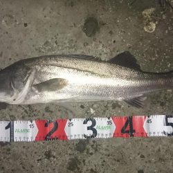 下げ止まりから