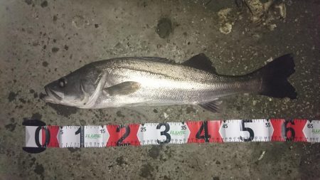 下げ止まりから