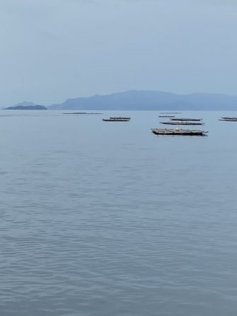 17センチアイナメ