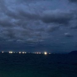 初めてのイカメタル