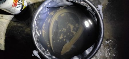 自転車うなぎ釣り