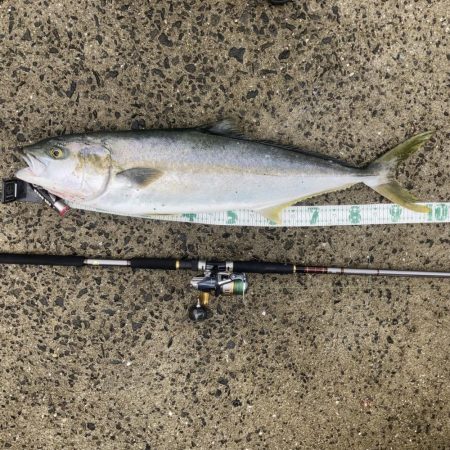 A.P.Pフィッシングガイドサービス　スプ…