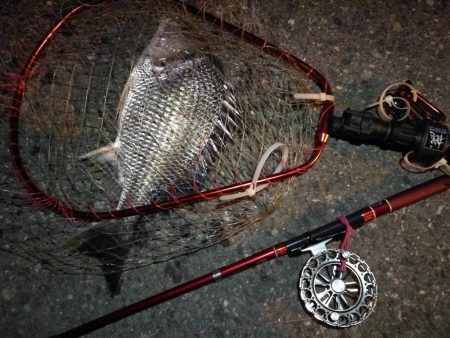 2021/08/04 南港ヘチ釣り