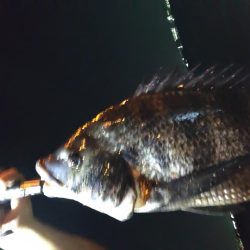 常吉大橋下にて