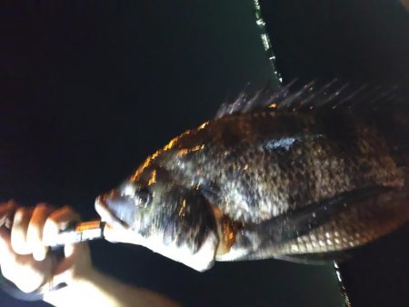 常吉大橋下にて