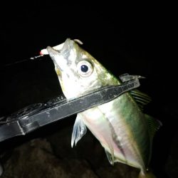 フロートゲーム～