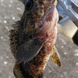 子供と一緒に釣り