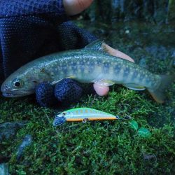 禁漁期間のその前に