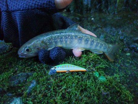 禁漁期間のその前に