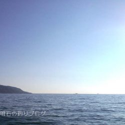 サヨリ、アナゴ、小物合計11目！