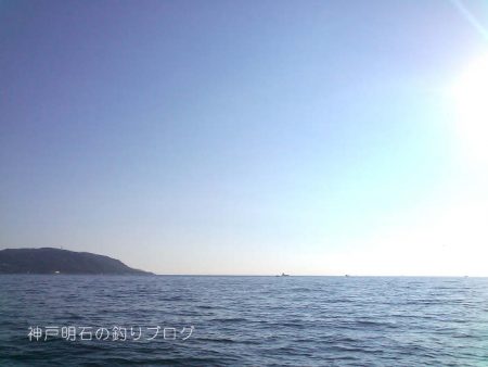 サヨリ、アナゴ、小物合計11目！