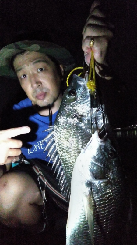 夜のキビレ散歩