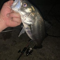 イナッコボイル