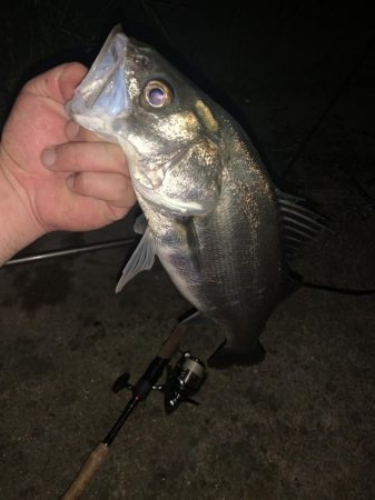 イナッコボイル