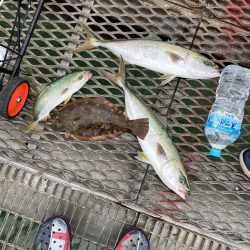 とっとパーク青物情報