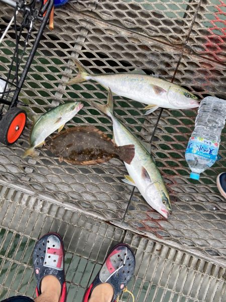 とっとパーク青物情報