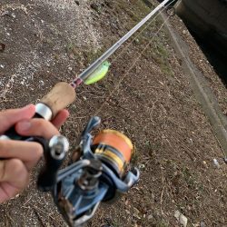 思わぬゲスト登場