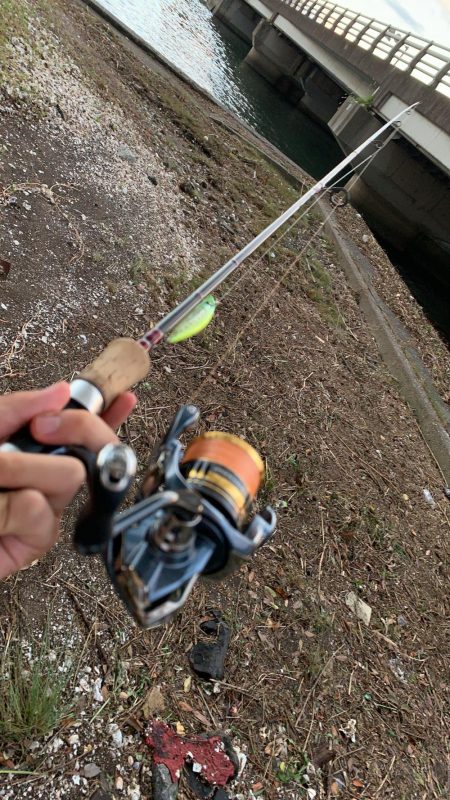 思わぬゲスト登場