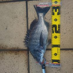 夕方2時間　～さざなみ公園～