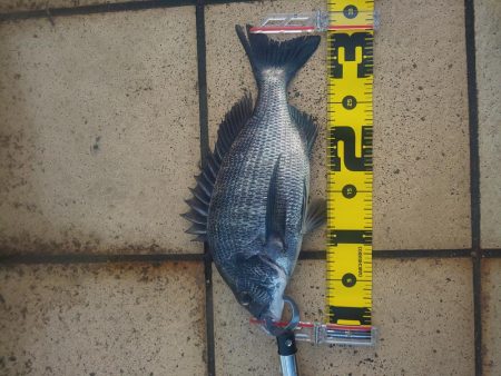 夕方2時間　～さざなみ公園～