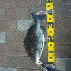 夕方2時間　～さざなみ公園～