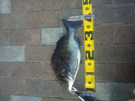 夕方2時間　～さざなみ公園～