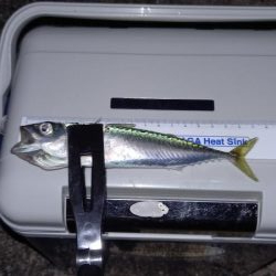 おじさんの夏休み