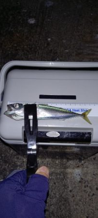 おじさんの夏休み