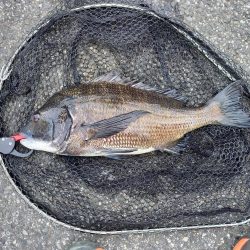 年無し2連続ヒット