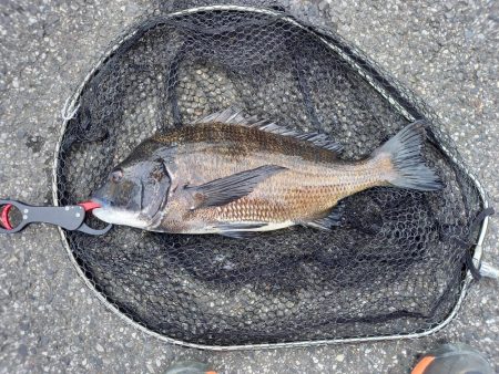 年無し2連続ヒット