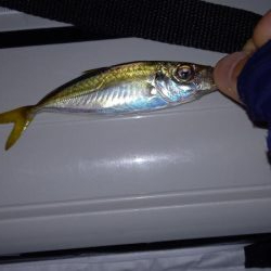 お盆は雨なので