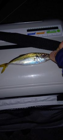 お盆は雨なので