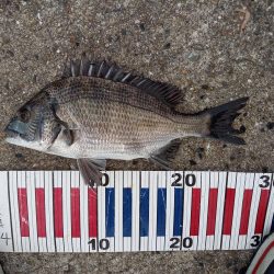 小豆島遠征part2