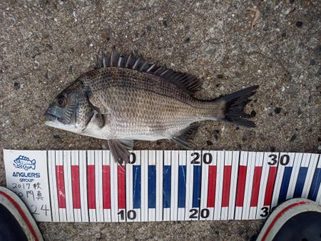 小豆島遠征part2