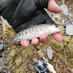 読み間違えたみたい、、、