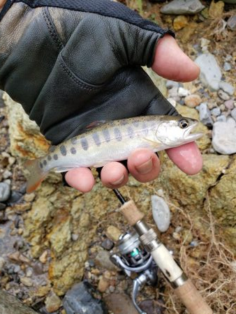 読み間違えたみたい、、、