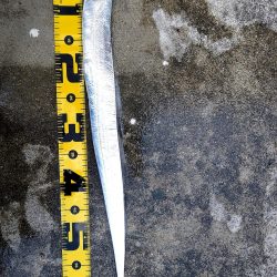 刀狩りしてきました