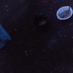 アジの入れ食い!!