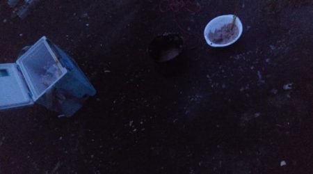 アジの入れ食い!!