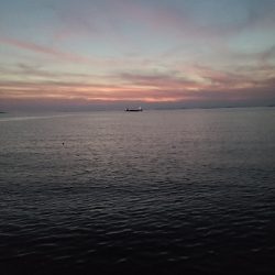 1年ぶりのアナゴ釣り