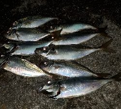 ボートアジング