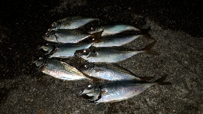 ボートアジング