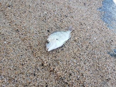 暑い。。雨の前に。
