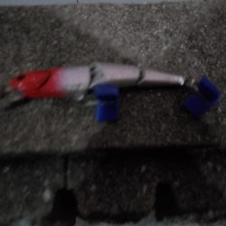 太刀魚がぼちぼち