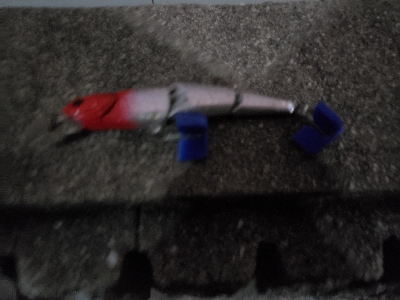 太刀魚がぼちぼち