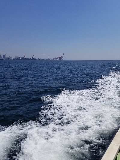 太刀魚が本命でしたが