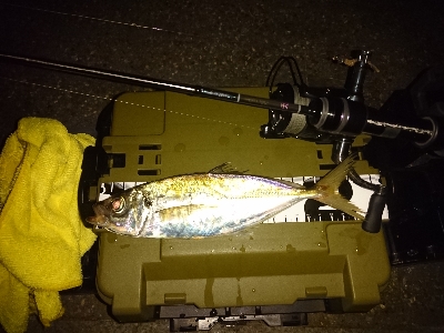 ここは休日は釣り堀状態ですね。