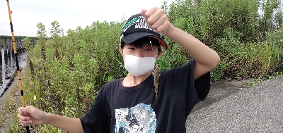 のべ竿でハゼ爆釣