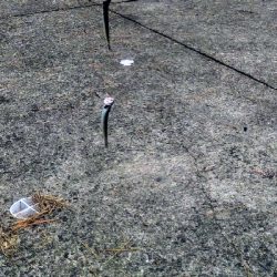 ファミリーフィッシング