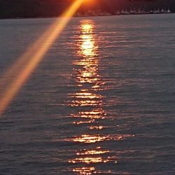 久しぶりの雨上がり